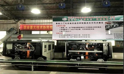 科技引領(lǐng)，協(xié)同創(chuàng)新 香菇工廠化生產(chǎn)開啟共同富裕新篇章