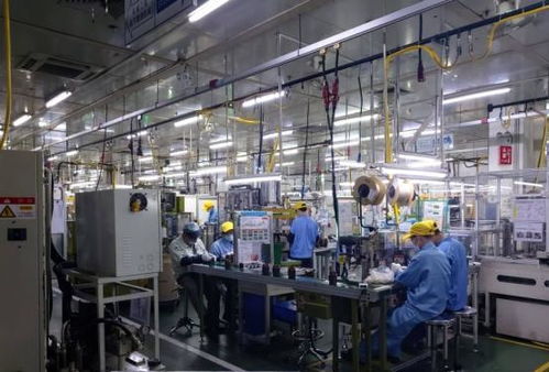 私家車、閑置房與“低收入人群”標(biāo)簽 理解當(dāng)下經(jīng)濟(jì)現(xiàn)象的多元視角